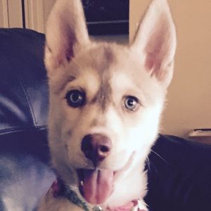 Meet your Posher, Charlotte